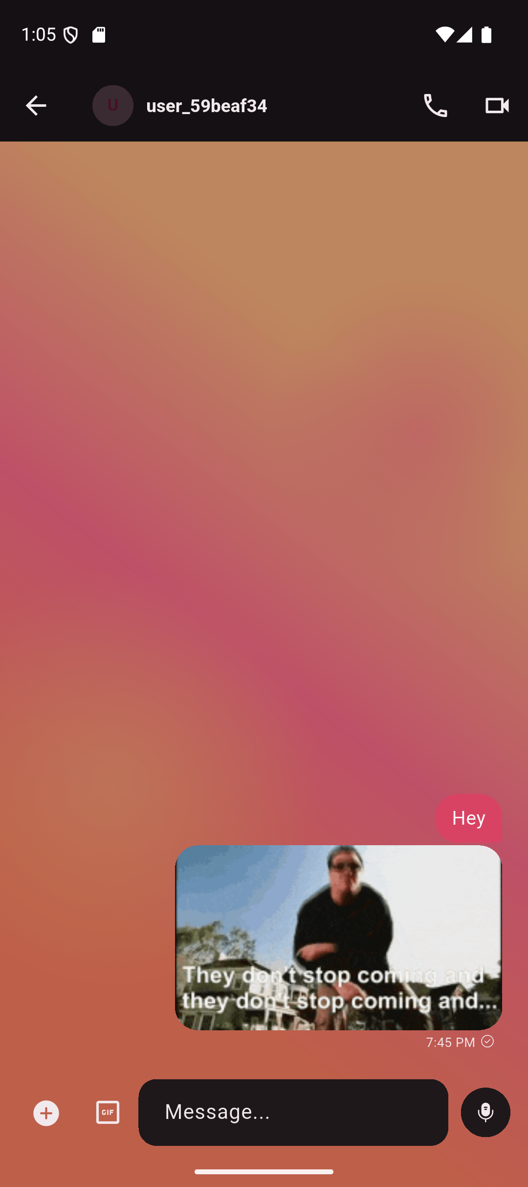 A Vielo conversation